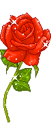 خدمات اینترنتی