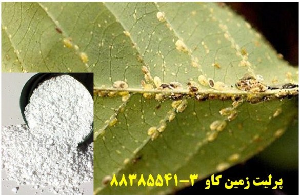 پرلیت در تولید سموم و آفت کش ها Perlite