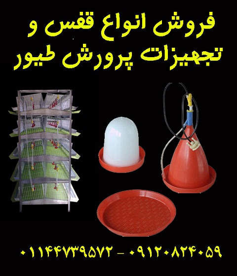 فروش انواع تجهیزات مرغداری