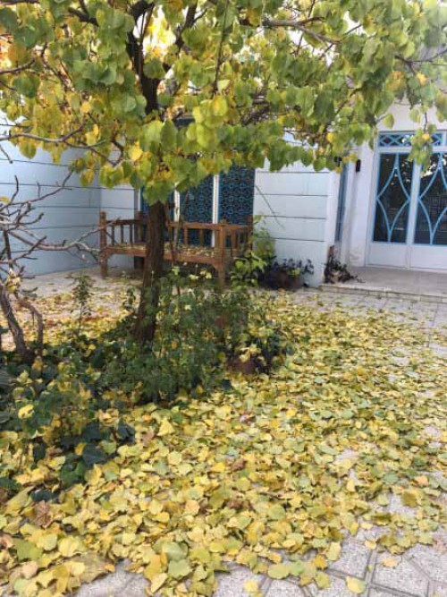 هنرهای تجسمی،نمایشی،صنایع دستی