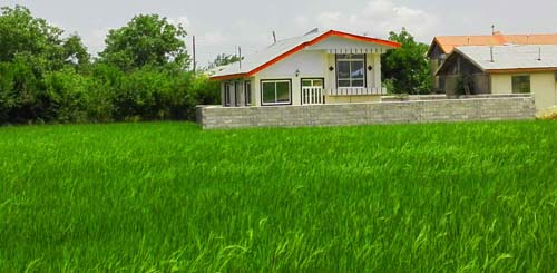 ویلای 94 متری با 350 متر زمین در سیاهکل - تصویر 1