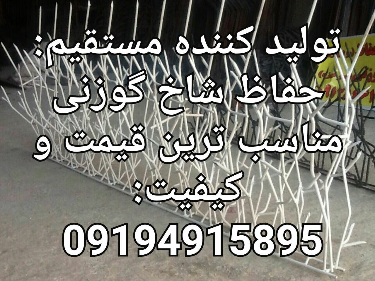 حفاظ شاخ گوزني - تصویر 1