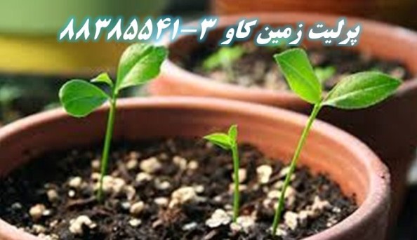 پرليت و پرورش بذر Perlite - تصویر 1
