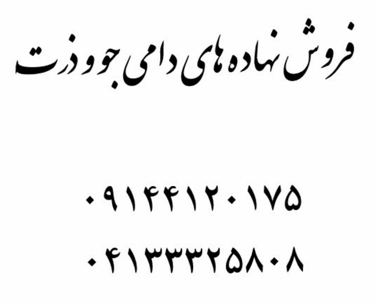 فروش نهاده های دامی - تصویر 1