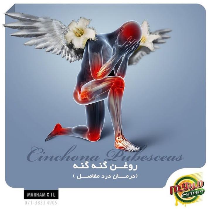 روغن گیری در شیراز - تصویر 2