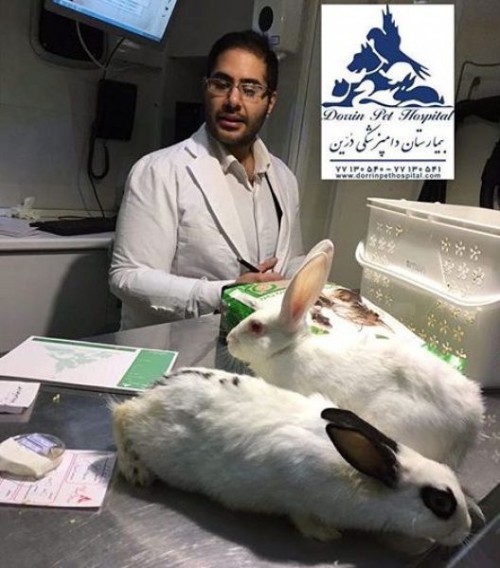 بندانگشتی 4