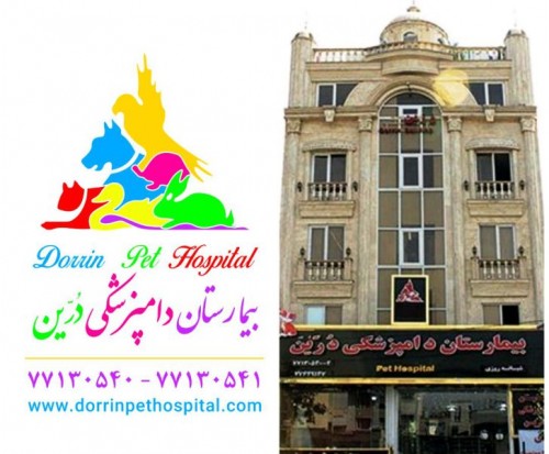 بندانگشتی 1