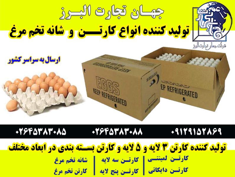 تولید و صادرات انواع کارتن - تصویر 1