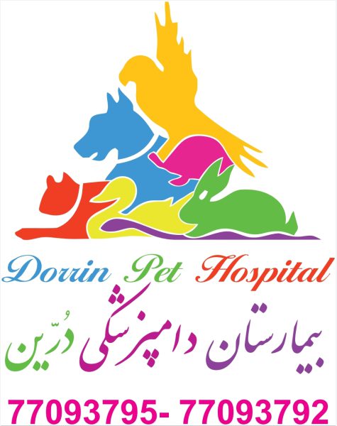 بیمارستان دامپزشکی و پت شاپ شبانه روزی درین - تصویر 1
