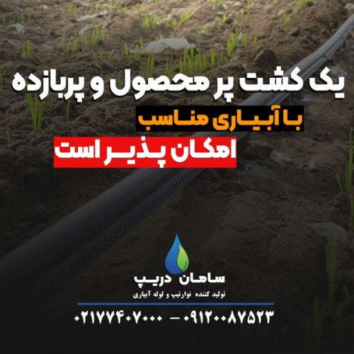 بندانگشتی 3