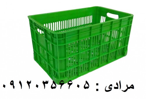 بندانگشتی 2