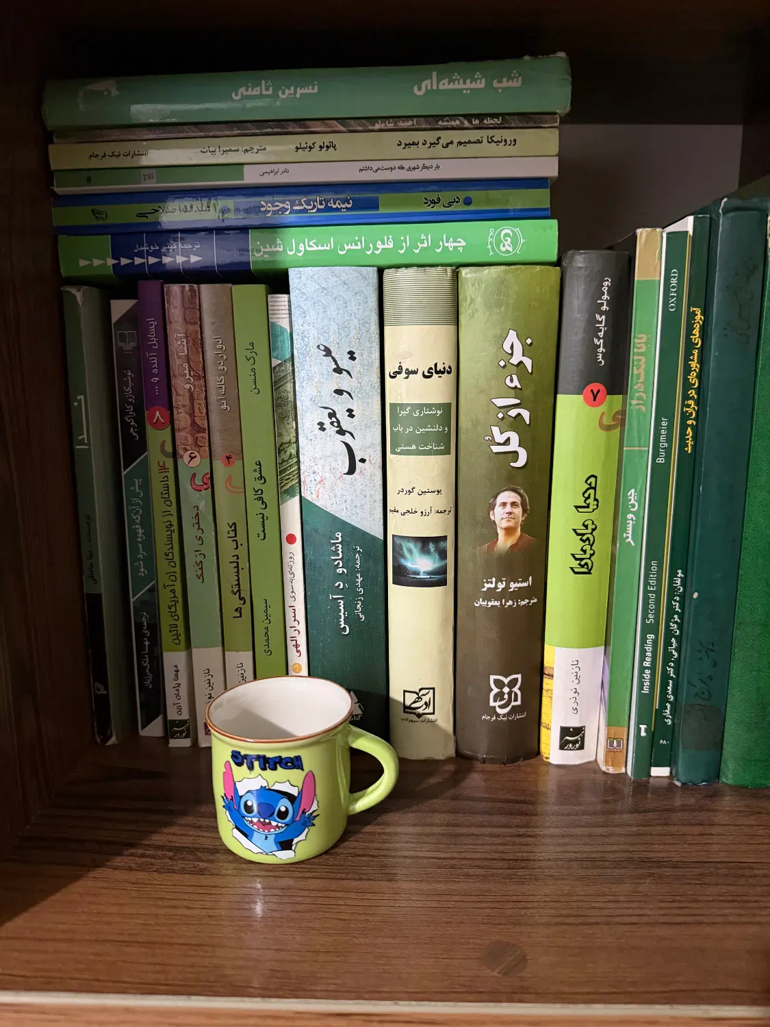 تعدادی کتاب رمان و روانشناسی - تصویر 6