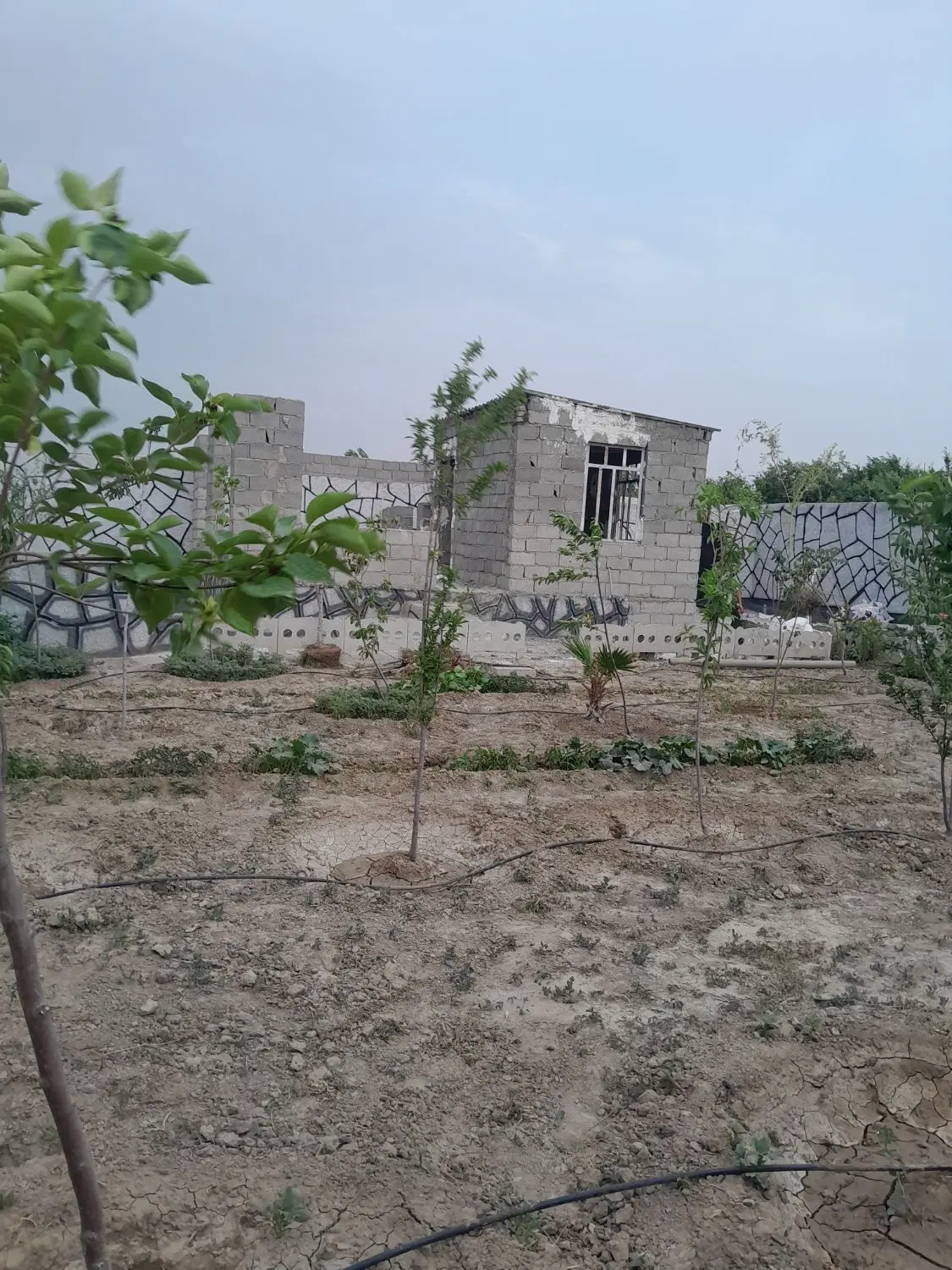 تهاتر  با واحد باغچه  ۵۰۰ متری سند تک برگ - تصویر 2