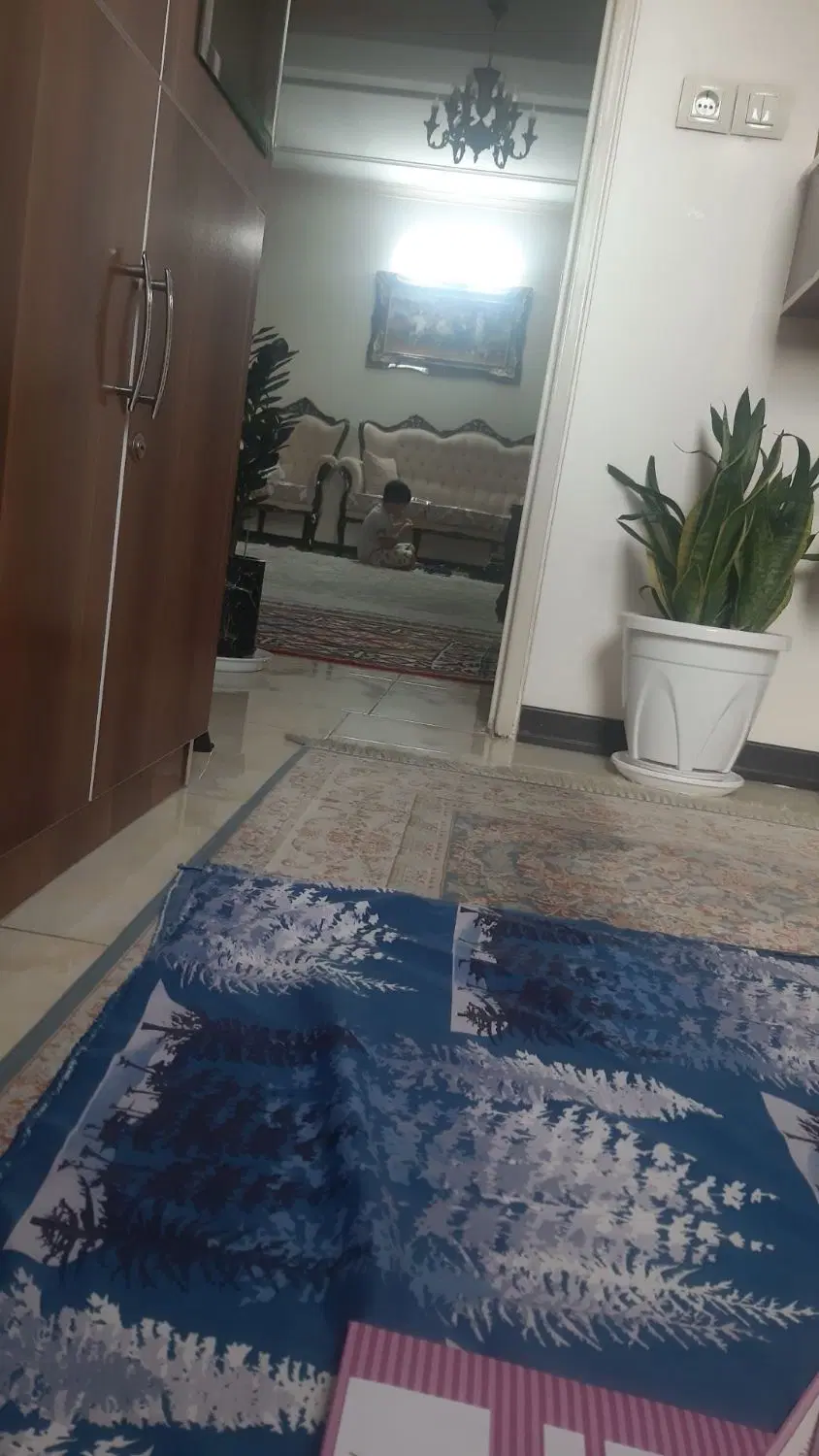 خانوم برای امور منزل - تصویر 1