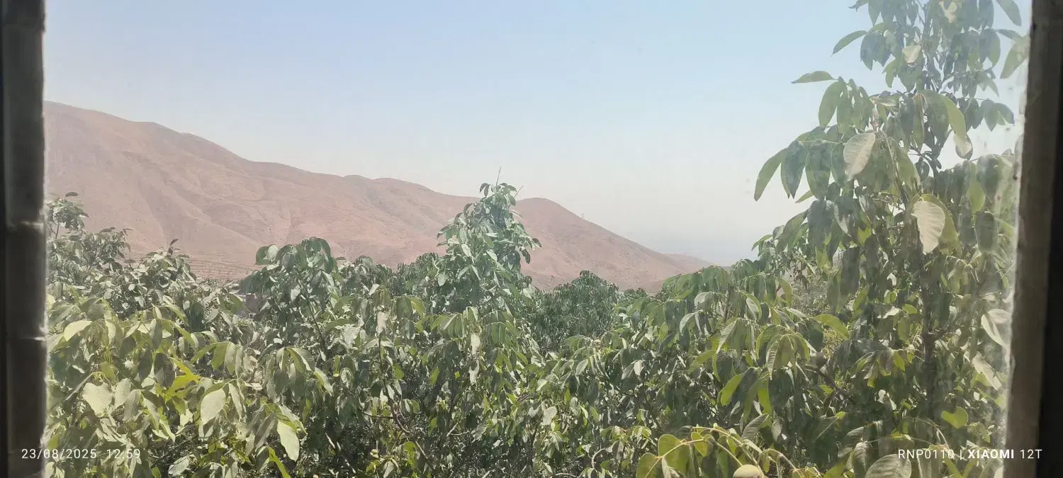 اجاره سوئیت ویلا آتشگاه پاره وقت - تصویر 2