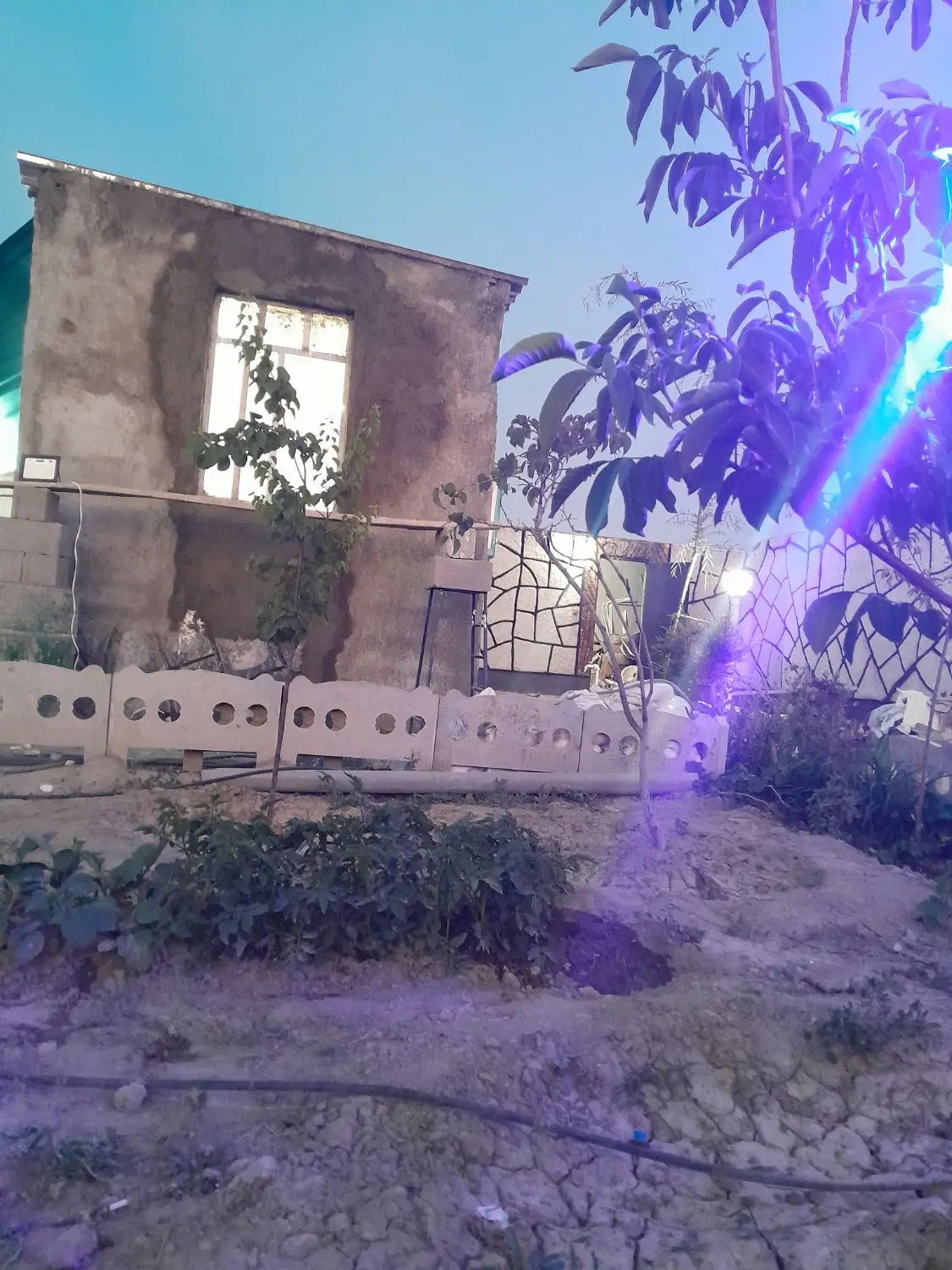 بندانگشتی 6