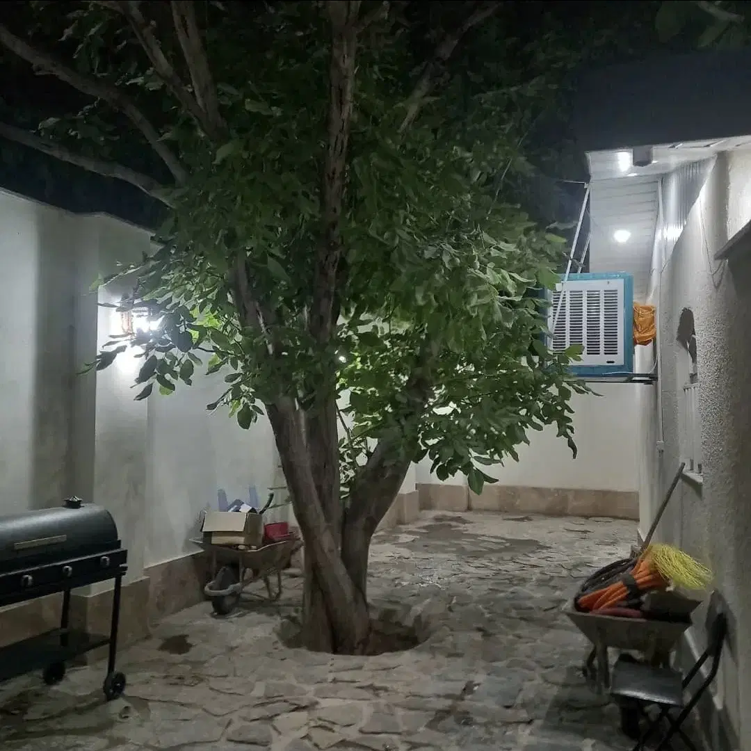 بندانگشتی 9